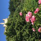 Die Marksburg mit den Rosen