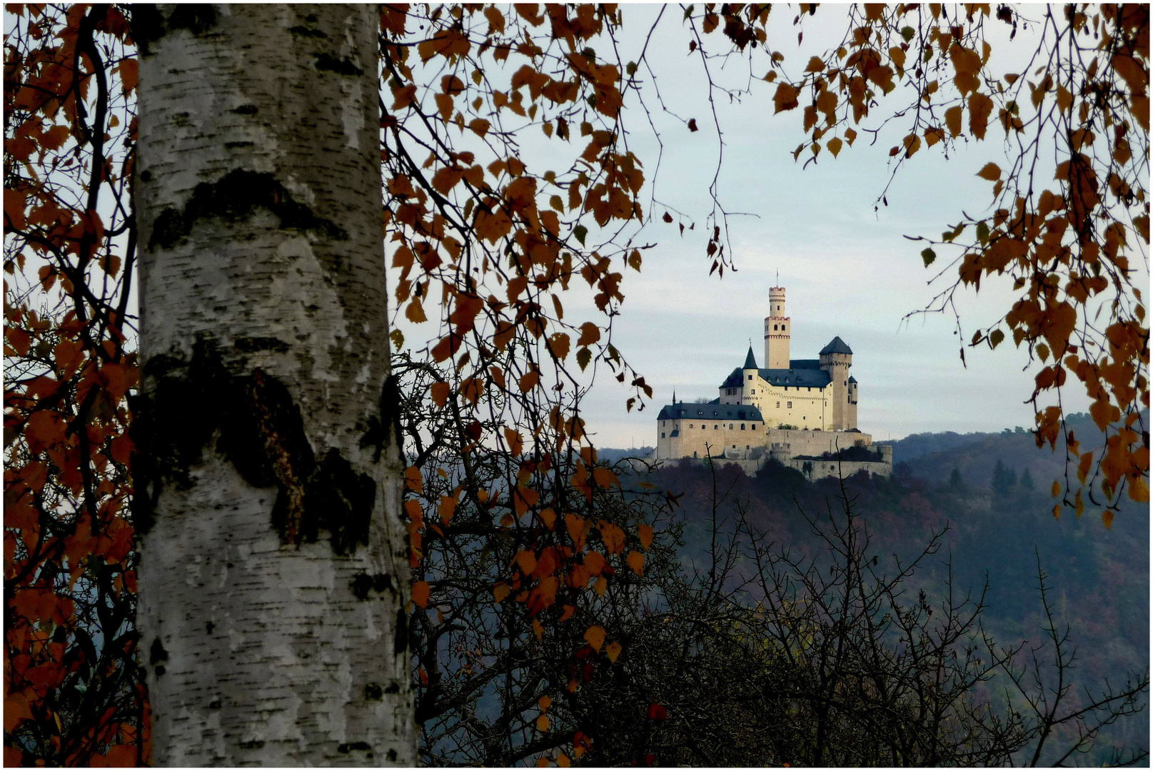 Die Marksburg / Rhein im Herbstlicht (1)