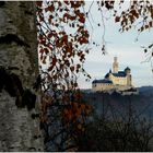 Die Marksburg / Rhein im Herbstlicht (1)