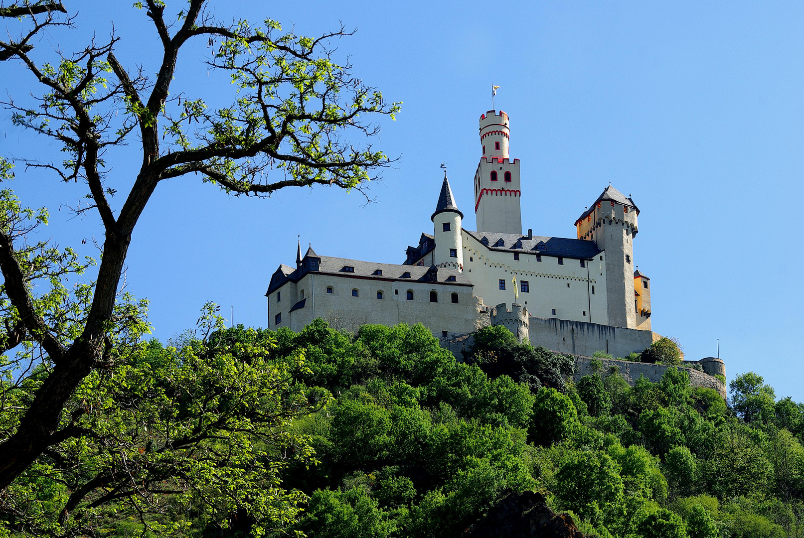 Die Marksburg über Braubach / Rhein