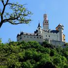 Die Marksburg über Braubach / Rhein