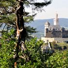 Die Marksburg von der Blei- und Silberhütte aus gesehen