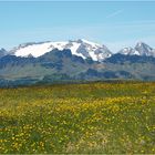 Die Marmolata, die Dolomiten - Königin