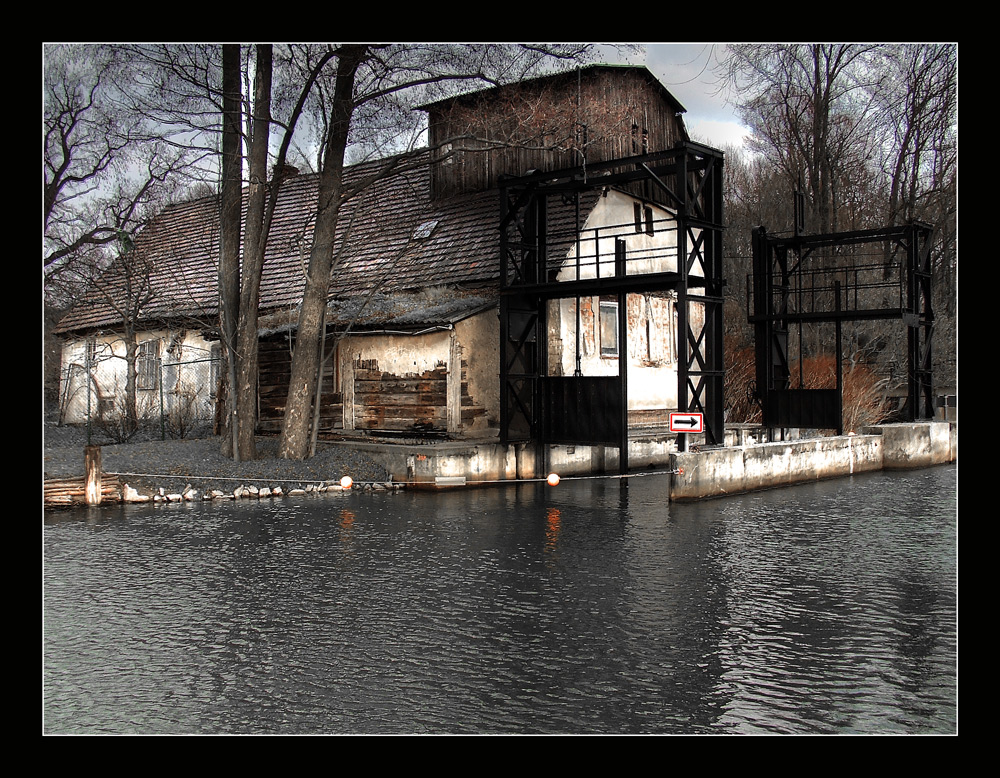 Die marode Mühle im Busch