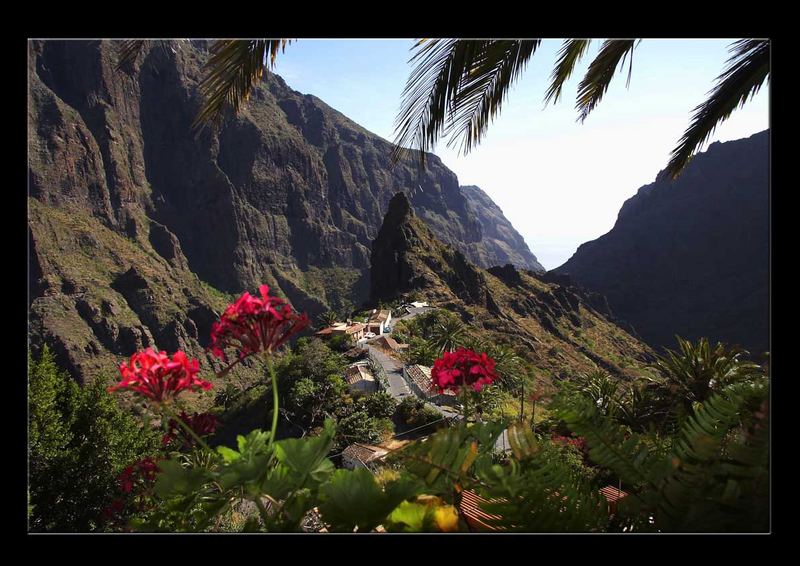 die Mascaschlucht auf Teneriffa