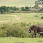 Die Masei Mara ist ein wundervoller Ort