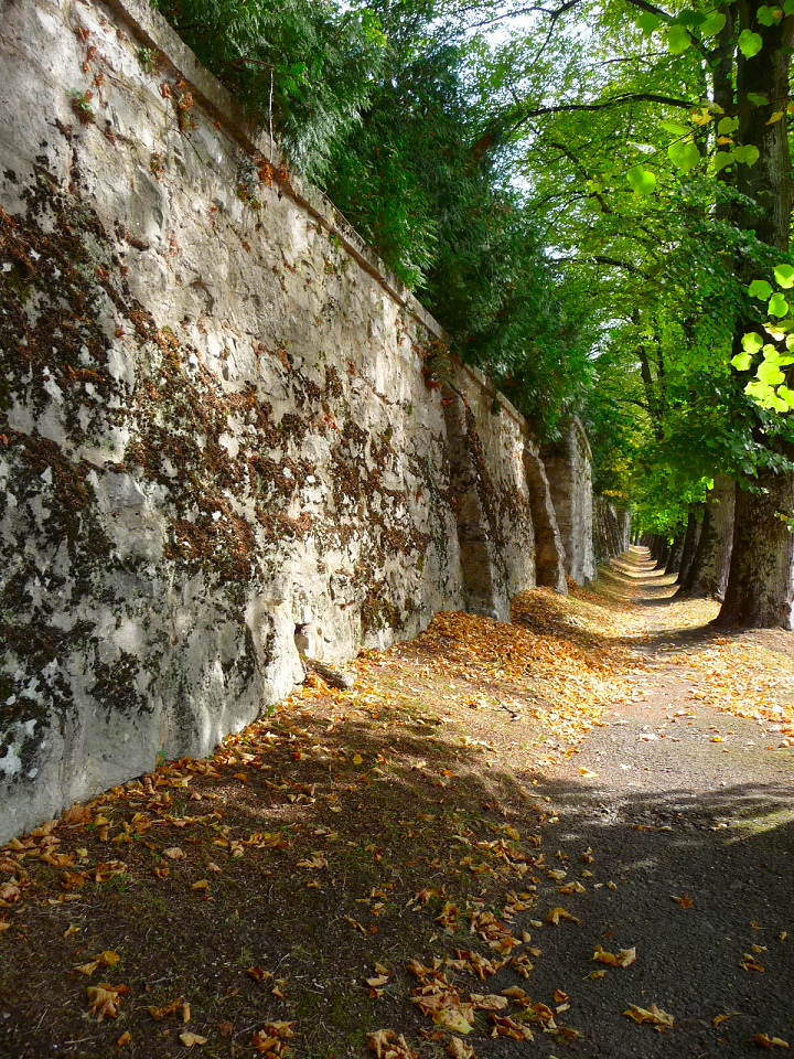 Die Mauer