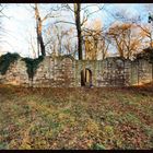 Die Mauer im Wald