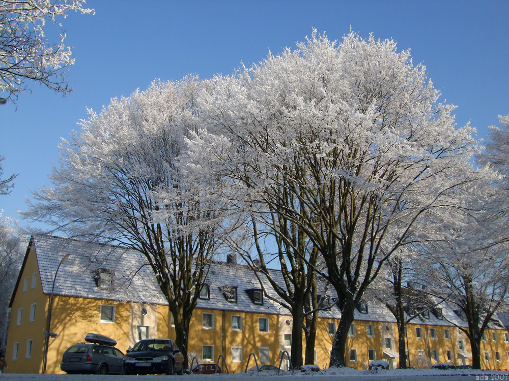 Die Maus im Schnee