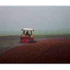 Die mechanisch Entfernung des Bodennebels