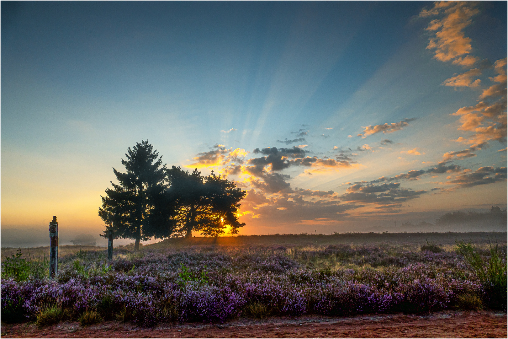 Die Mehlinger Heide am frühen Morgen