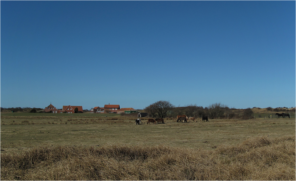 Die Meierei auf Langeoog