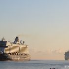 Die Mein Schiff4 & MSC Meraviglia laufen in Kiel ein. 