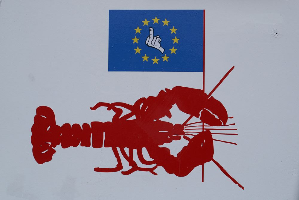 Die Meinung eines dänischen Fischers zur EU