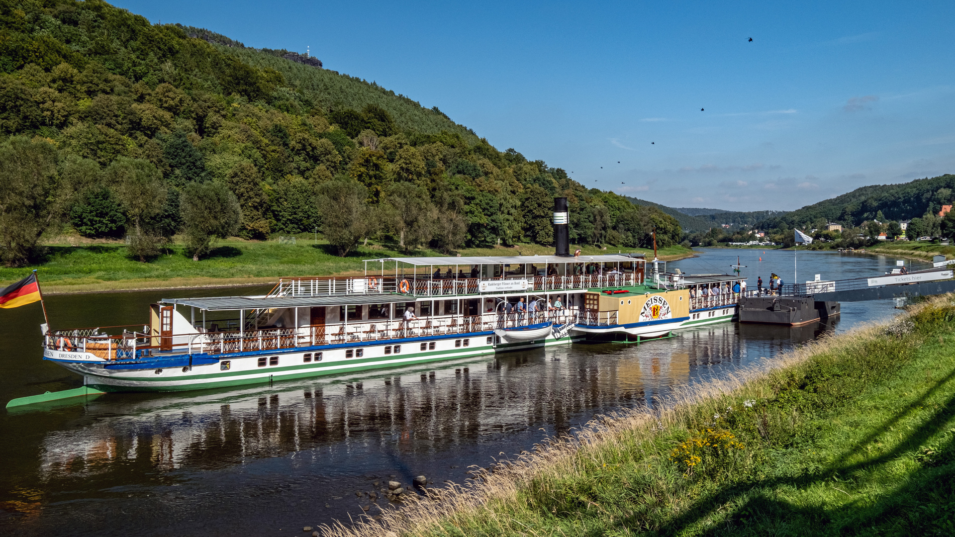 Die Meißen in Königstein