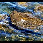 Die meisten Menschen verdunsten einem wie ein Wassertropfen in der flachen Hand