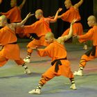 Die Meister des Shaolin Kung Fu