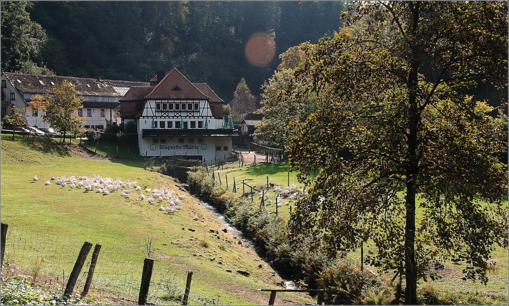 Die meistgestellte Frage im Karlstal - "gibt es ein Leben nach Sankt Martin"