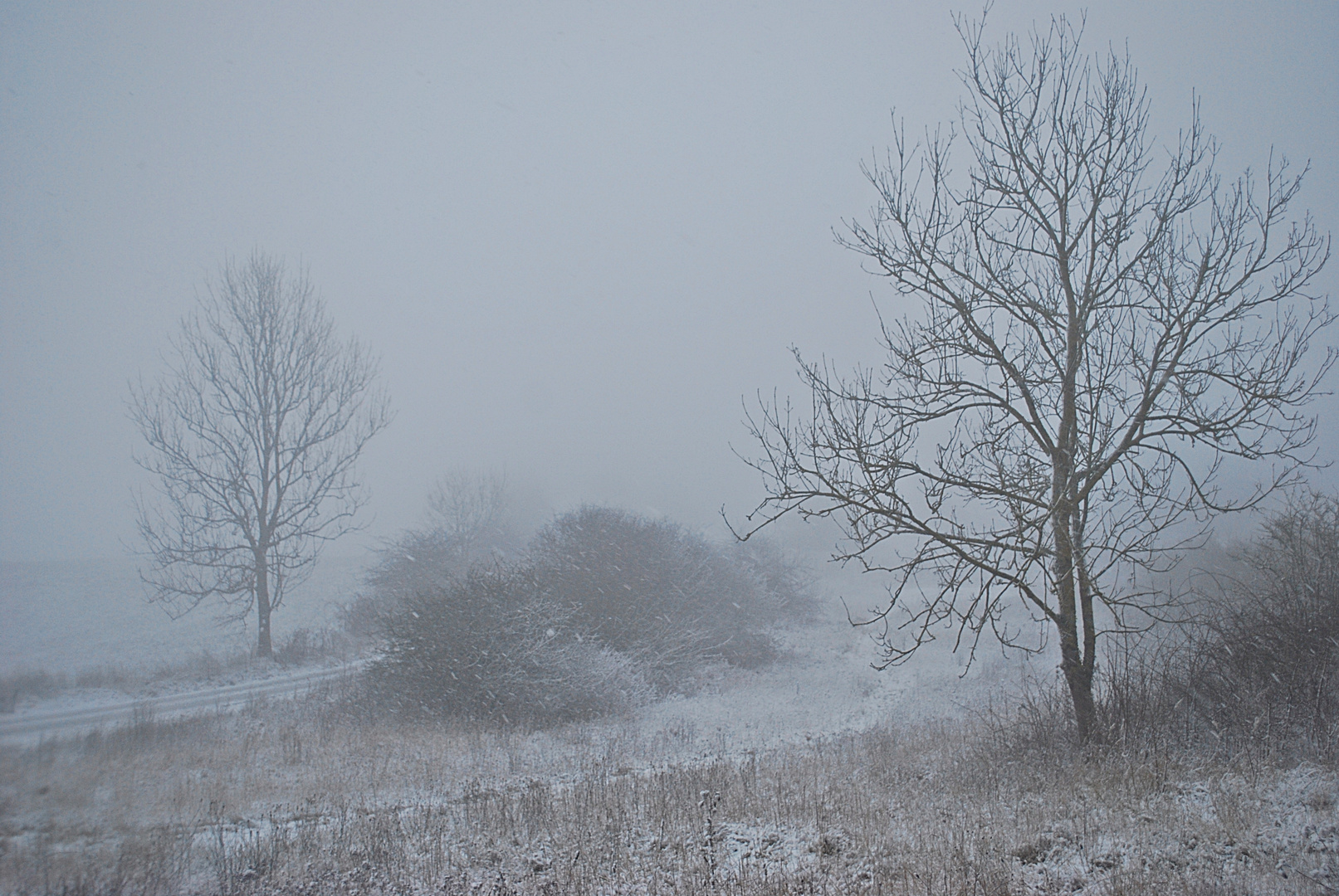 die Melancholie der Winterwelt...