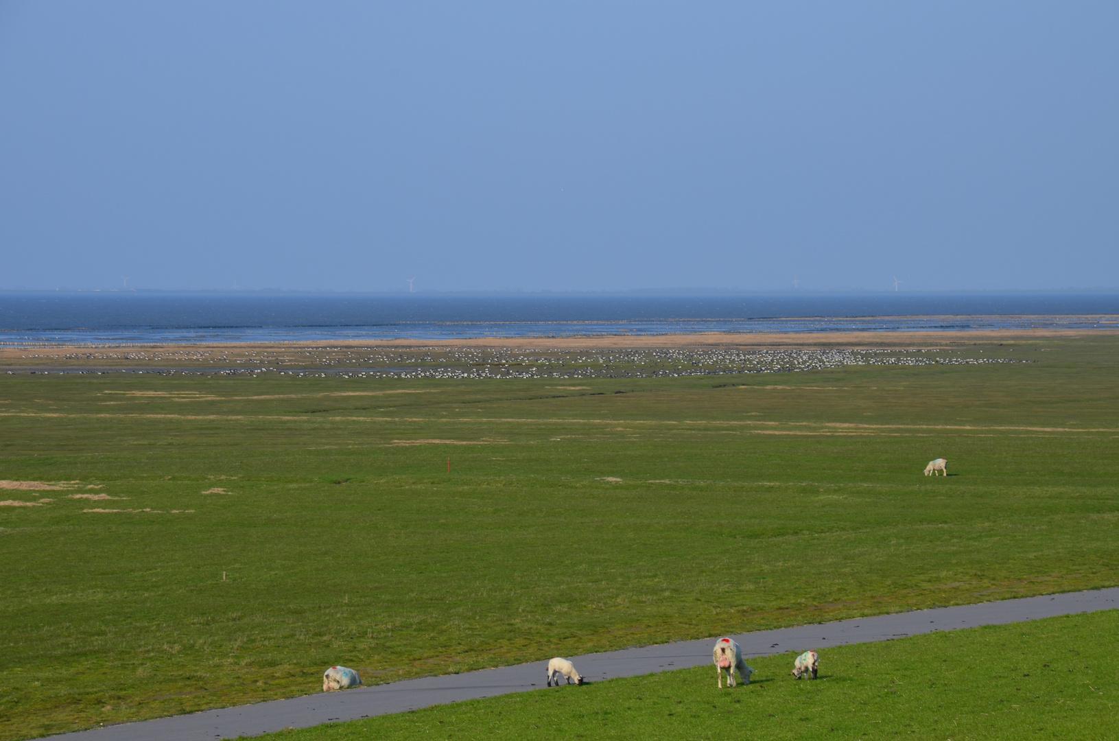 Die Meldorfer Bucht