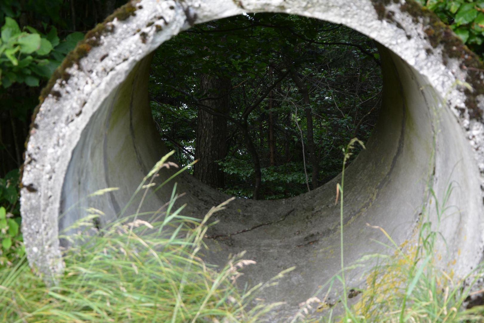 Die Menschen sehen die Natur nur noch durch die "Röhre"