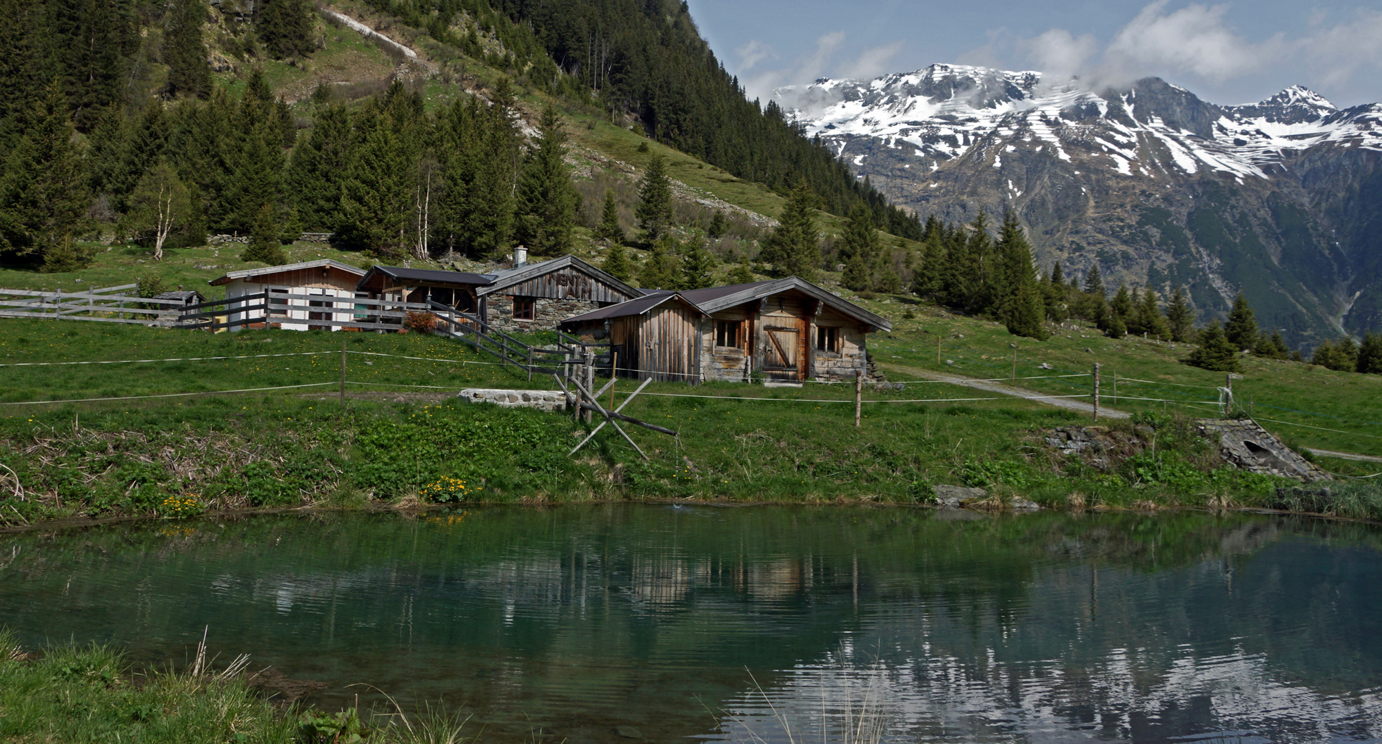 die Menta-Alm im Jamtal auf ca 1600m