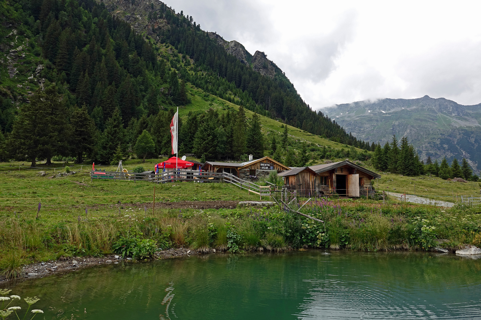 die Mentaalm auf ca 1700m