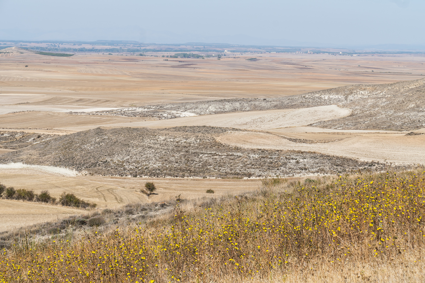 die Meseta Foto & Bild spain, weg, natur Bilder auf