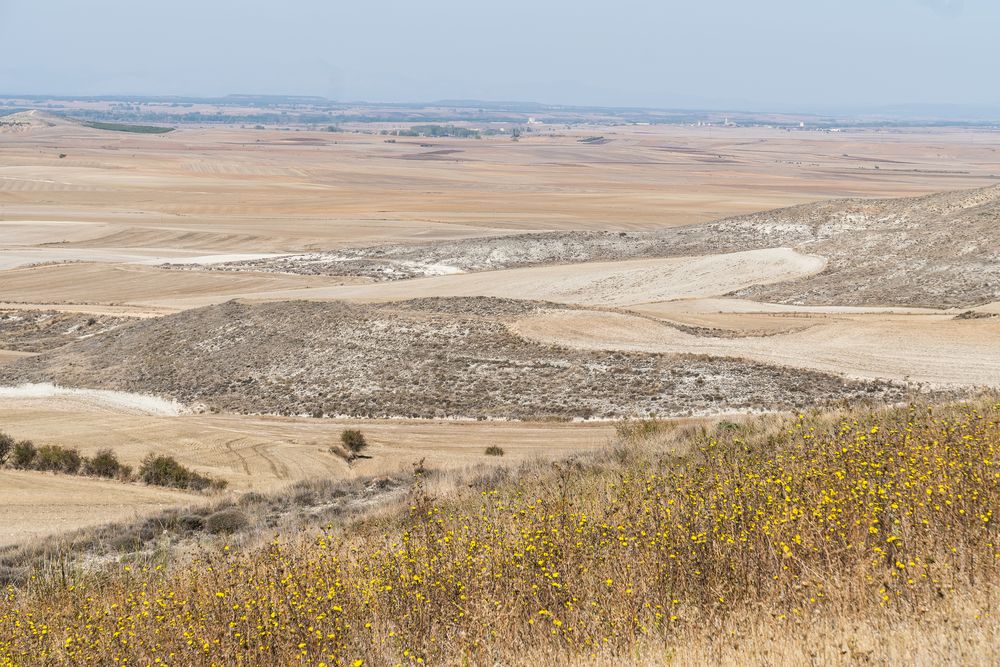 die Meseta Foto & Bild spain, weg, natur Bilder auf