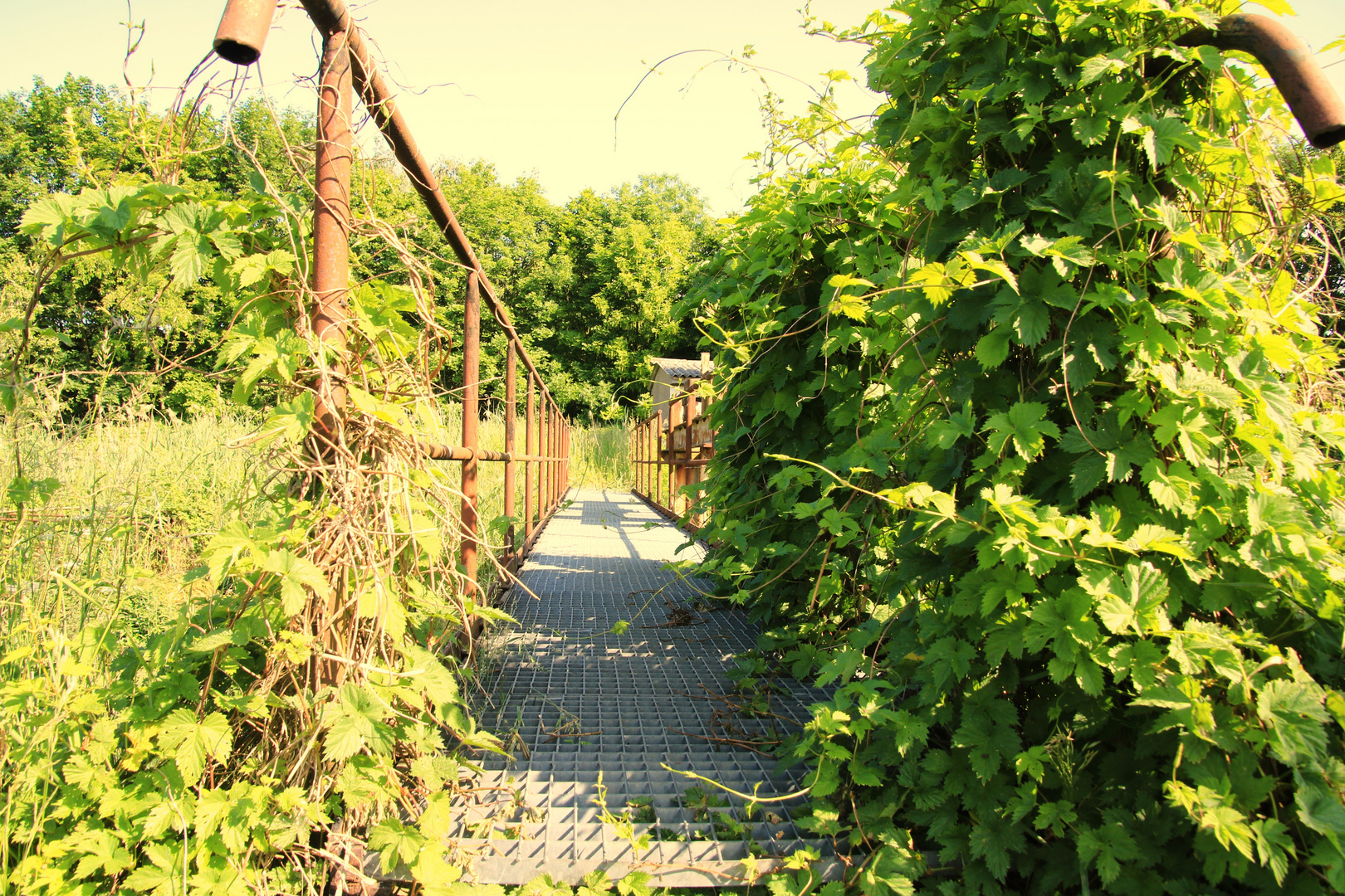 Die Metallbrücke