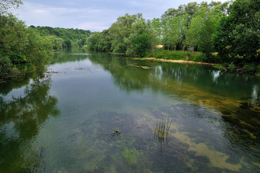 Die Meuse bei Villers-sur-Meuse