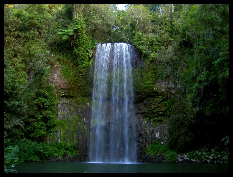 Die Mila Mila Falls bei Cairns