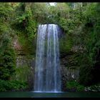 Die Mila Mila Falls bei Cairns