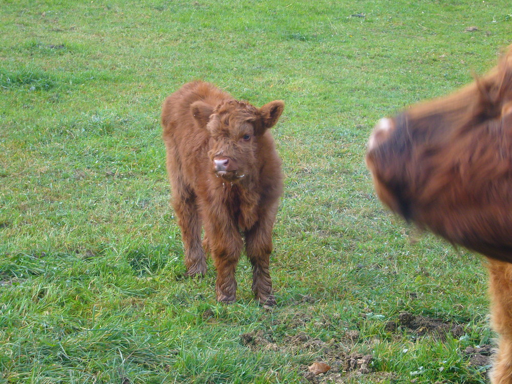 Die Milch hat geschmeckt!