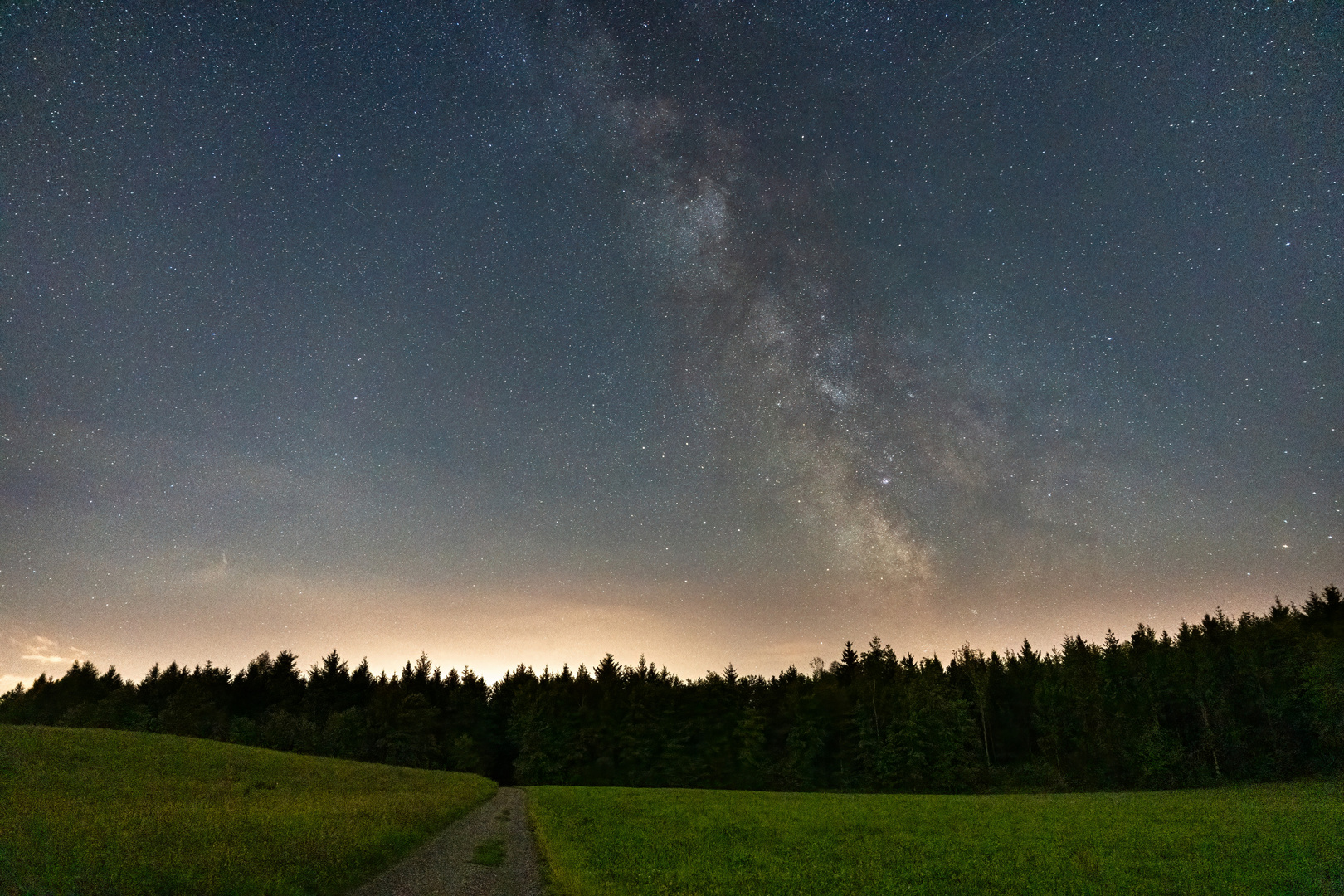 Die Milchstrasse im Wald