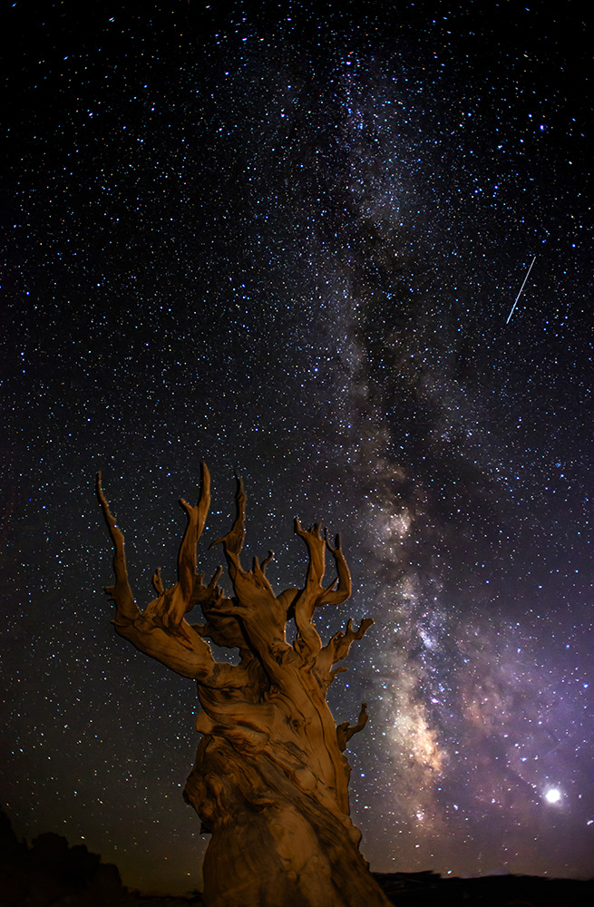 Die Milchstraße über den Bristlecone Pines