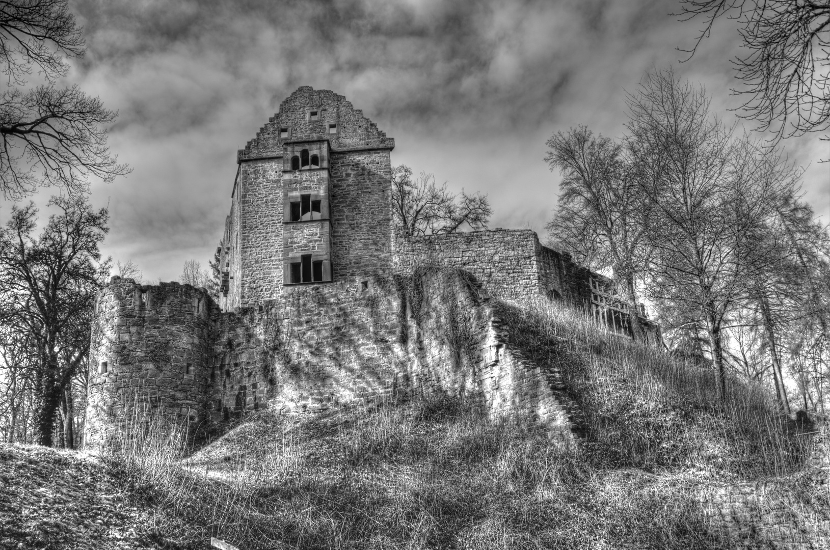 Die Minneburg (am Neckar)