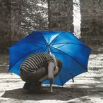 Die mit dem blauen Schirm....