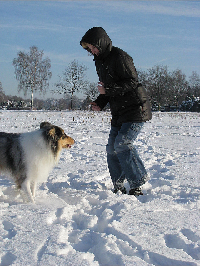 Die mit dem Collie tanzt...