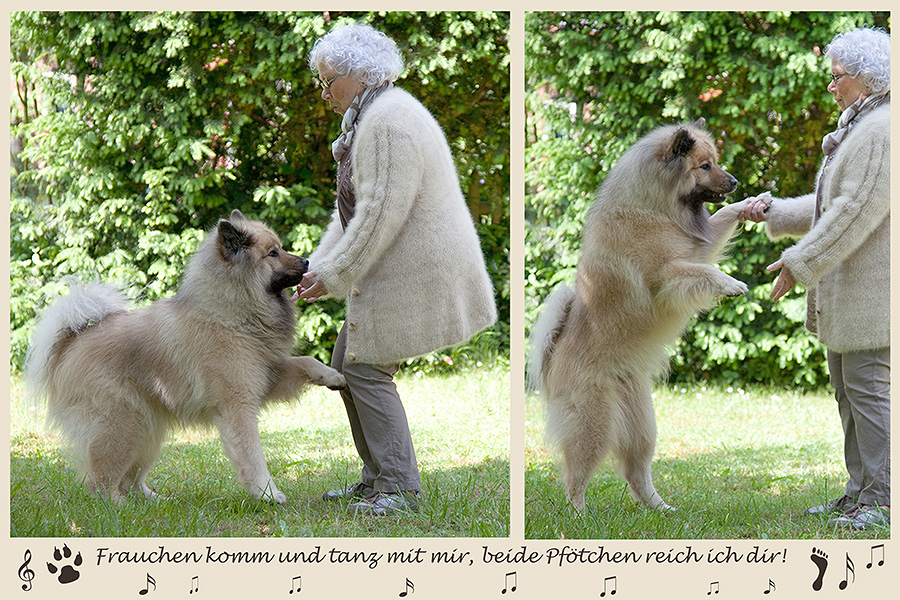 Die mit dem Hund tanzt