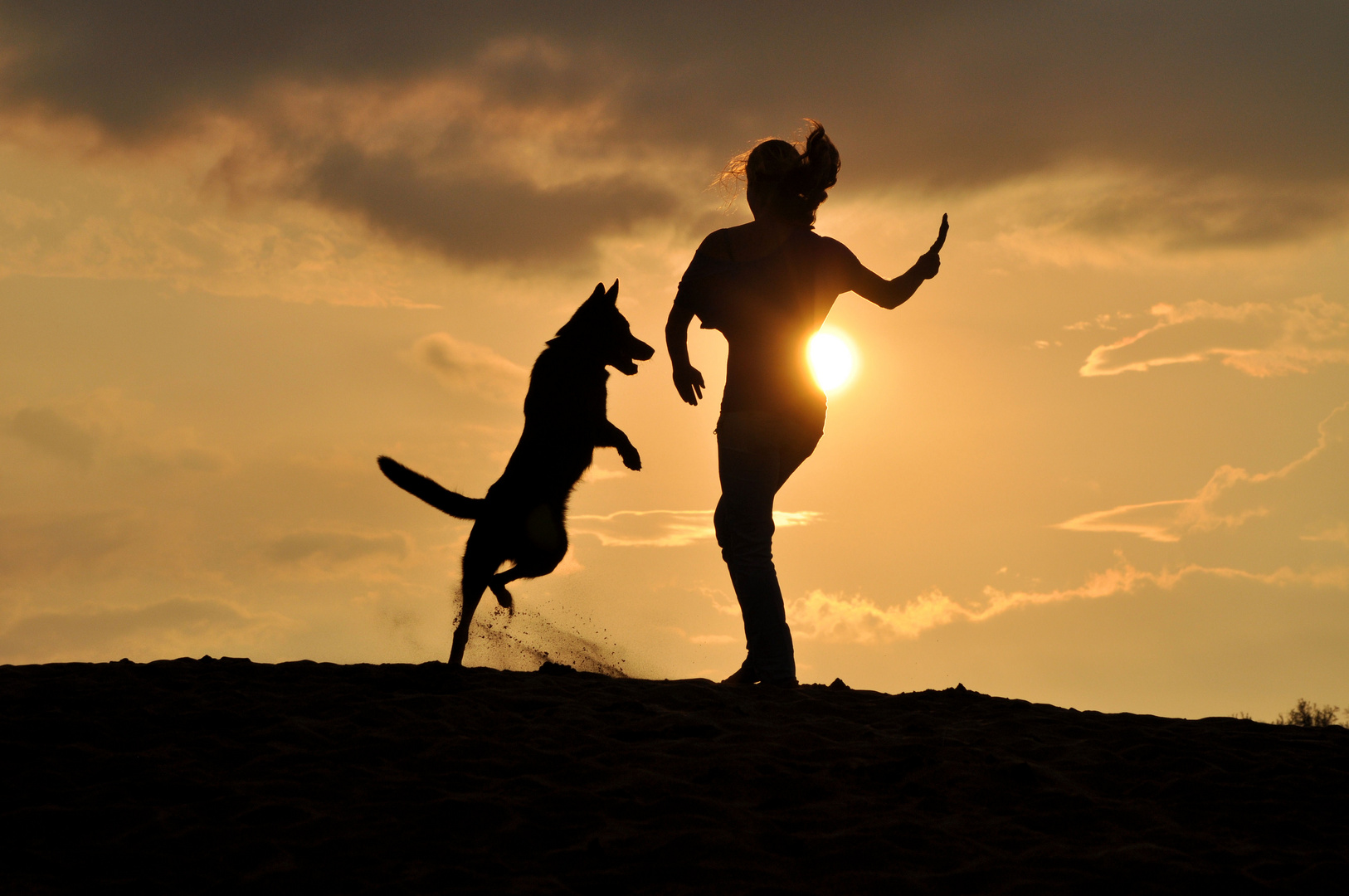 Die mit dem Wolf tanzt Foto