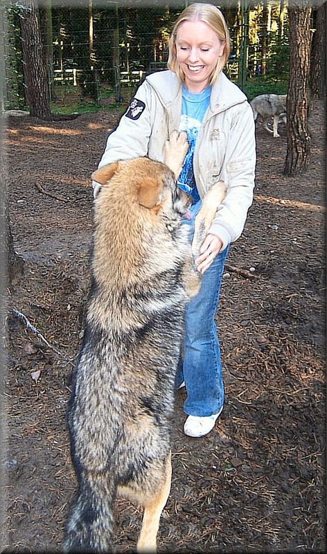 Die mit dem Wolf tanzt ...