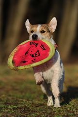 Die mit der Frisbee tanzt