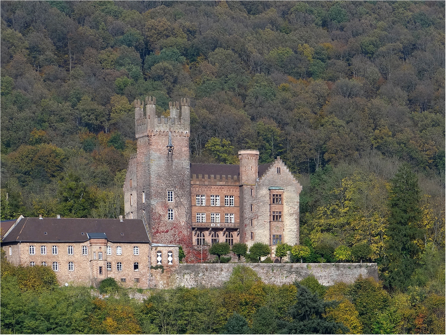 Die Mittelburg