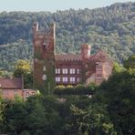 Die Mittelburg / Neckarsteinach / Neckartal