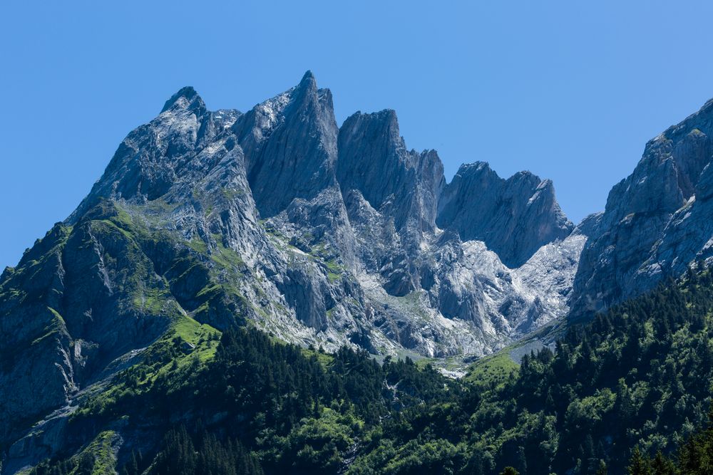 Die Mittelgruppe der Engelhörner