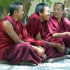 Die Mönche von Drepung - gut gelaunt