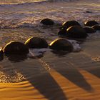 Die Moeraki Boulders 2