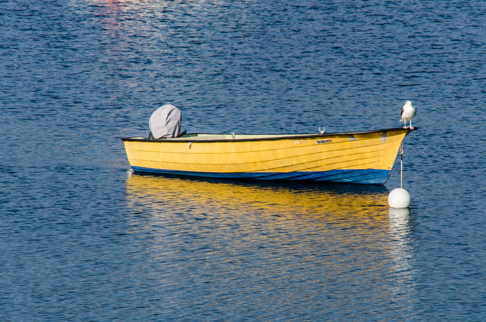 Die Möve und das Boot