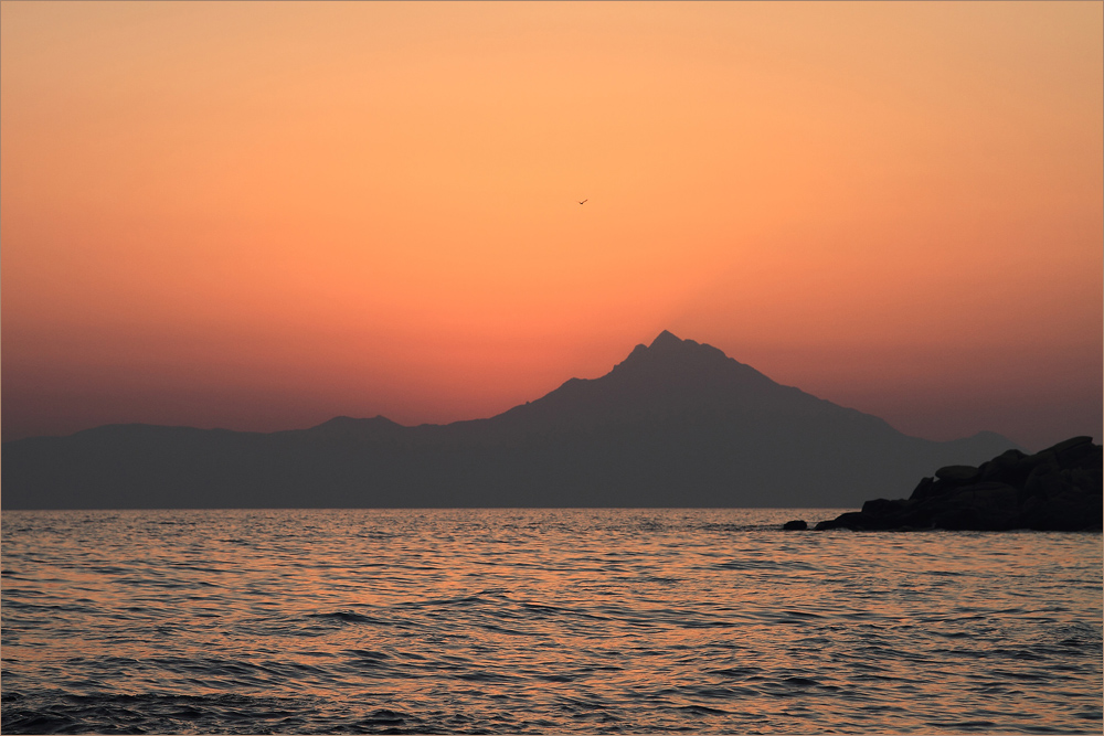 die Möve und ich allein, kurz vor Sonnenaufgang